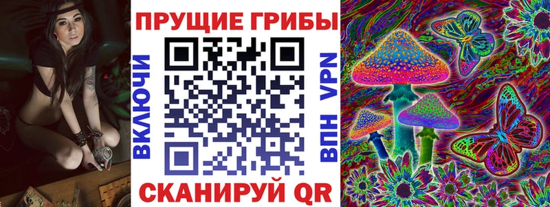 сколько стоит Новоуральск Псилоцибиновые грибы Cubensis
