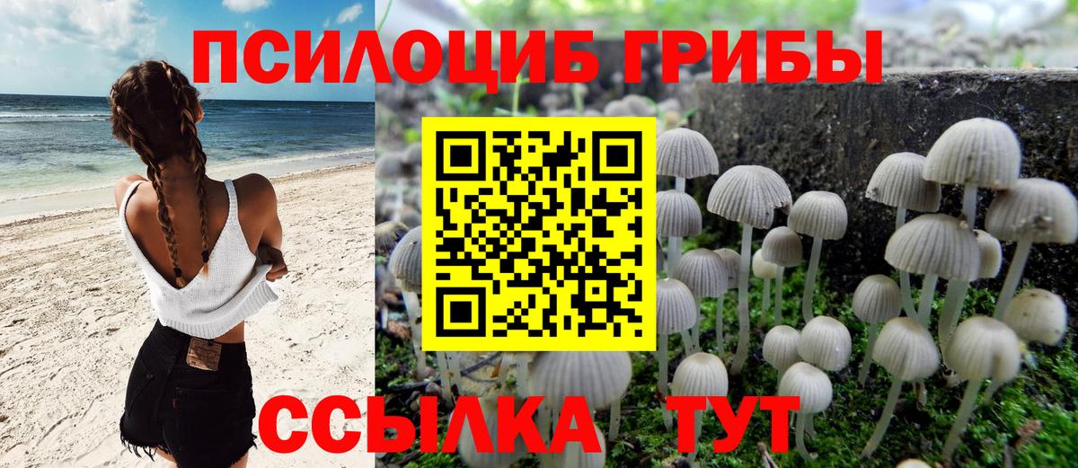 Галлюциногенные грибы мицелий  Псилоцибиновые грибы Psilocybine cubensis  Новоуральск  Вход с VPN 