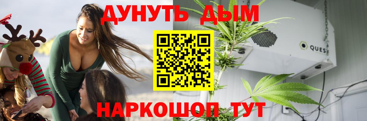 Конопля MAZAR  Вход с VPN  Бошки Шишки сатива  Канабис сатива  Бошки Шишки White Widow  Новоуральск 